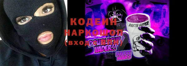 хмурый Арсеньев
