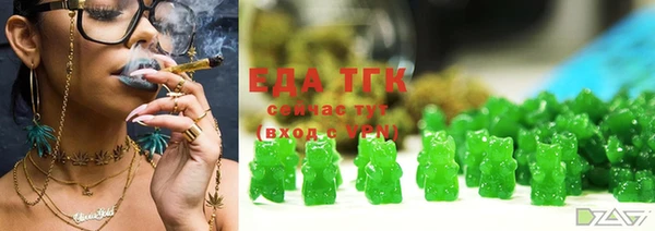 хмурый Арсеньев