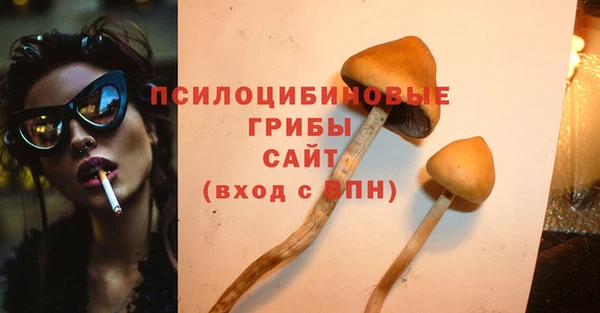 не бодяженный Алексин