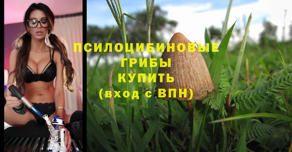 а пвп мука Аркадак