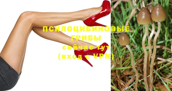 не бодяженный Алексин