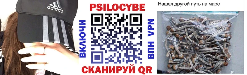 Галлюциногенные грибы Psilocybe  Кремёнки 